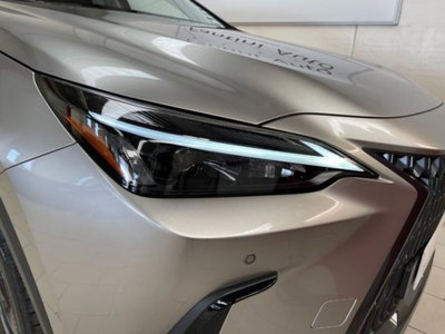 Lexus NX 350h 2.5 Luxury 4wd e-cvt (8)