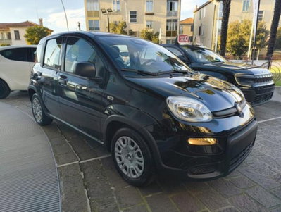 Fiat Panda 1.0 firefly hybrid Icon s&s 70cv (2)