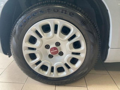 Fiat Panda 1.0 firefly hybrid s&s 70cv 5p.ti (15)