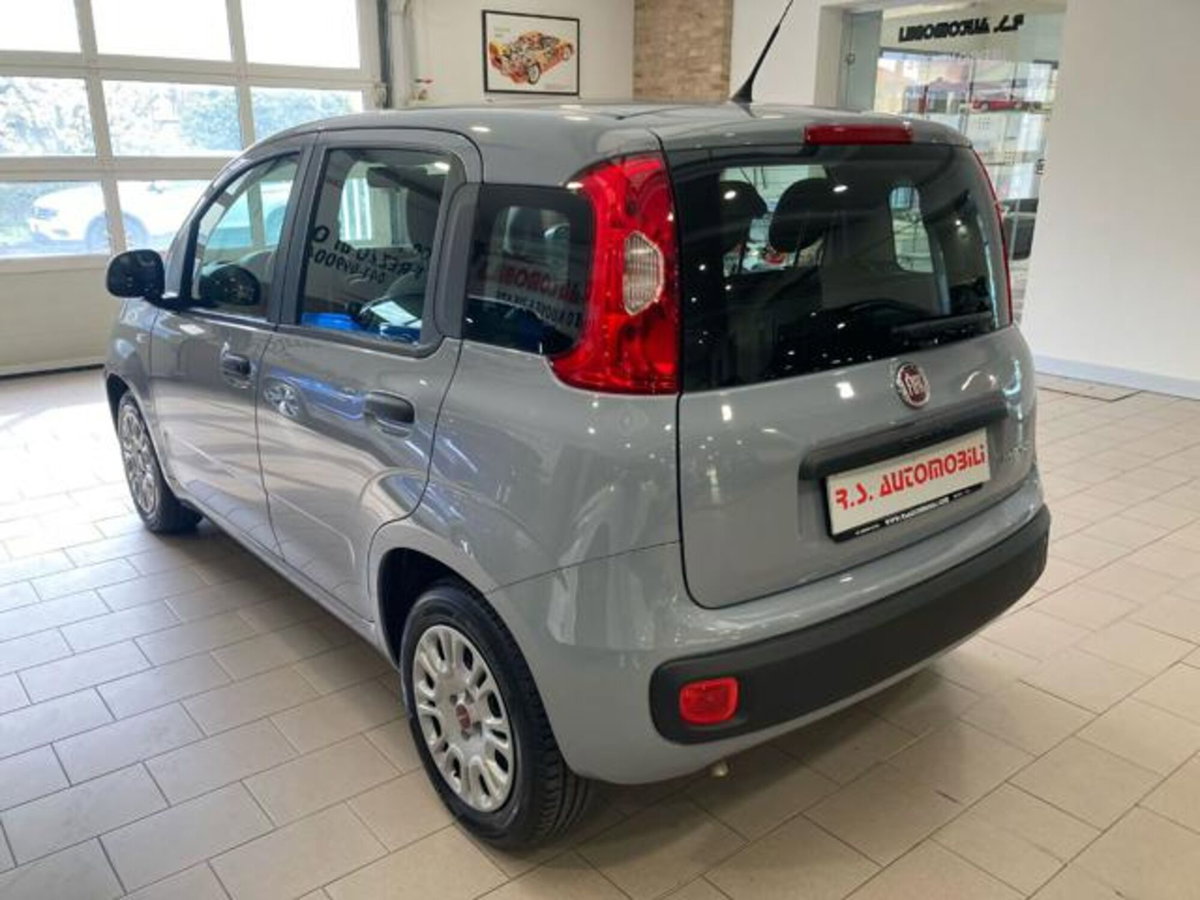 Fiat Panda 1.0 firefly hybrid s&s 70cv 5p.ti (4)