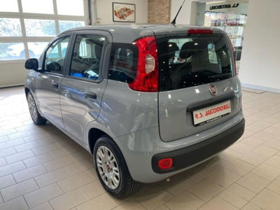 Fiat Panda 1.0 firefly hybrid s&s 70cv 5p.ti (4)