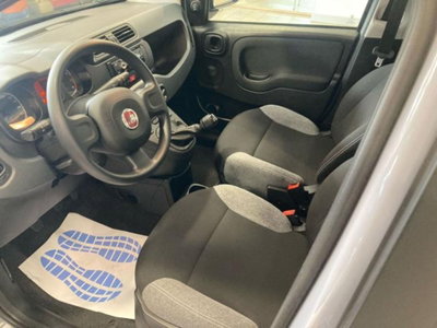 Fiat Panda 1.0 firefly hybrid s&s 70cv 5p.ti (6)