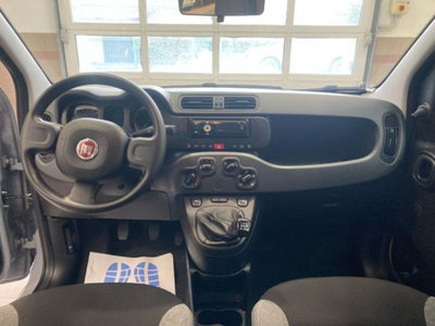Fiat Panda 1.0 firefly hybrid s&s 70cv 5p.ti (7)