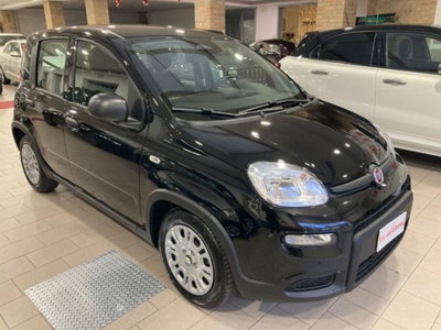Fiat Panda 1.0 firefly hybrid s&s 70cv 5p.ti (2)