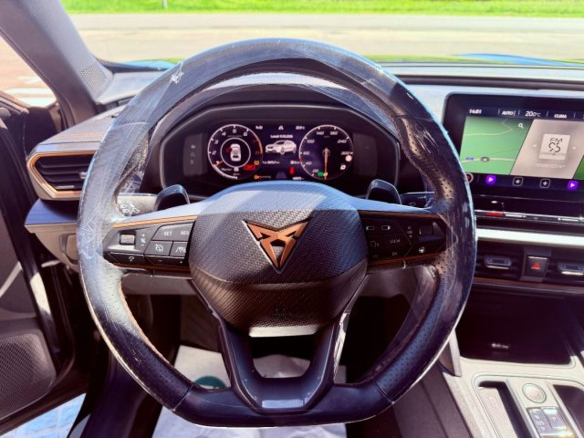 Cupra Formentor Formentor 1.5 TSI (6)