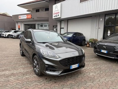 Ford Kuga 2.5 Full Hybrid 190 CV CVT 2WD ST-Line X (3)
