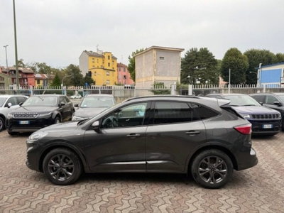 Ford Kuga 2.5 Full Hybrid 190 CV CVT 2WD ST-Line X (6)