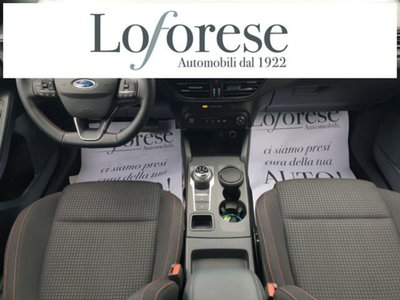 Ford Focus 1.5 EcoBlue 115 CV automatico 5p. ST-Line Style (9)