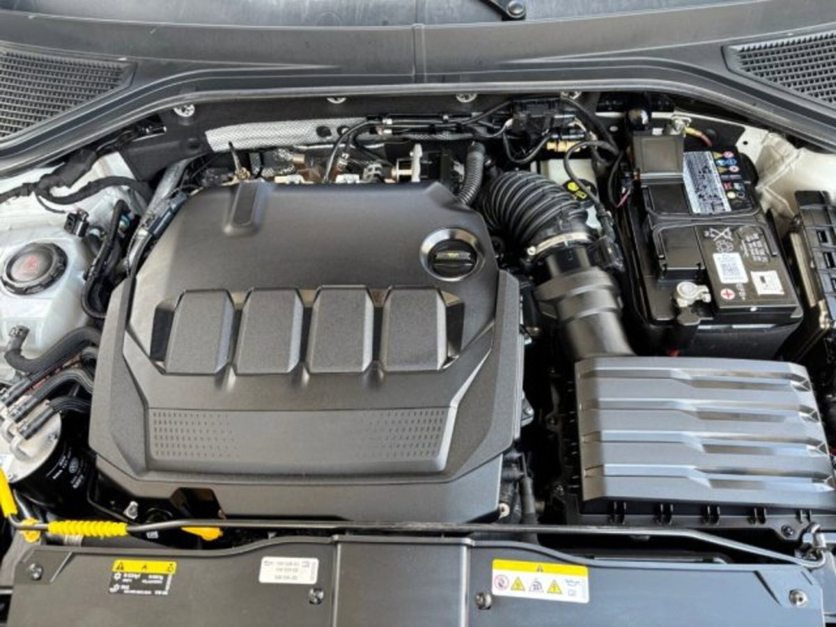 Volkswagen T-Roc 2.0 tdi R-Line 4motion 150cv dsg (20)
