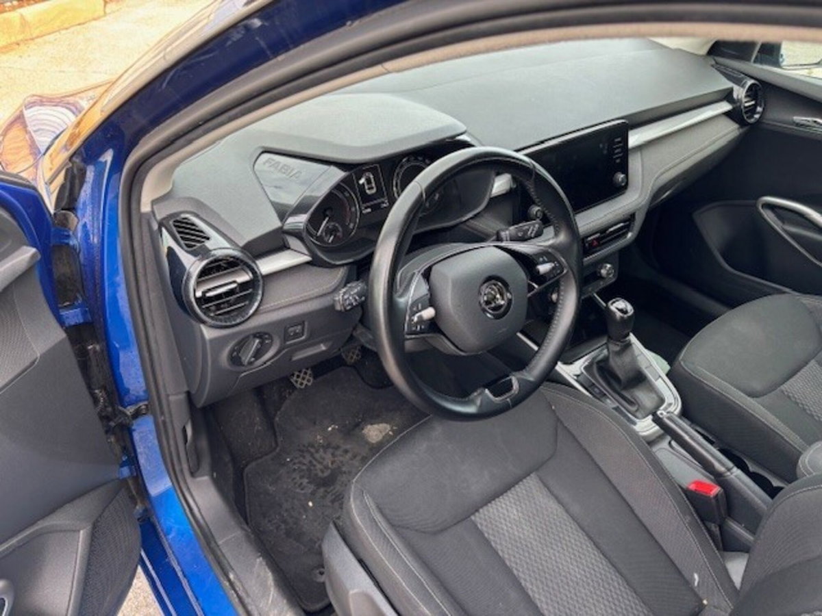 Skoda Fabia 1.0 TSI EVO 95 CV Style (10)