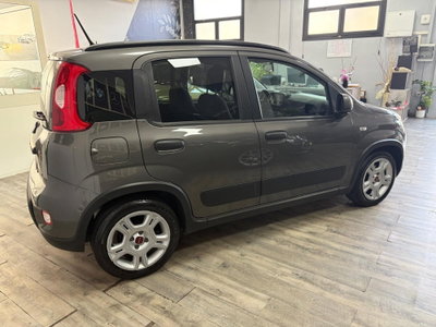 Fiat Panda 1.0 FireFly S&S Hybrid (3)