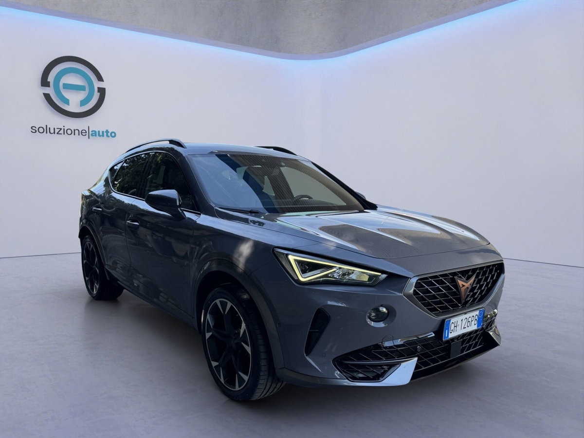 Cupra Formentor Formentor 2.0 tdi 4drive 150cv dsg (11)