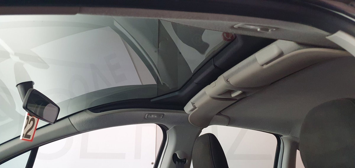 Citroen C3 1.4 HDi 70 Exclusive (10)