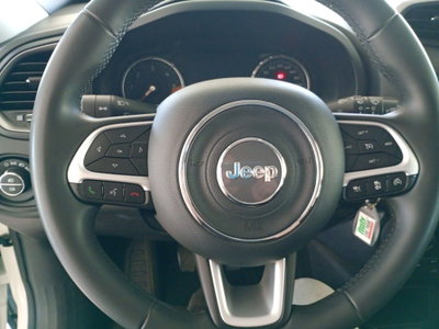 Jeep Renegade 1.6 Mjt 130 CV Limited (10)