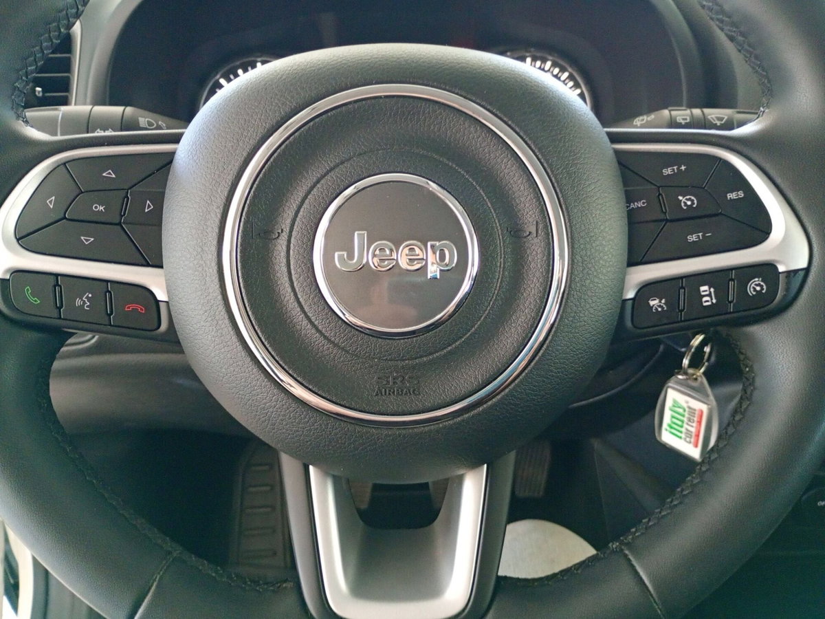 Jeep Renegade 1.6 Mjt 130 CV Limited (14)