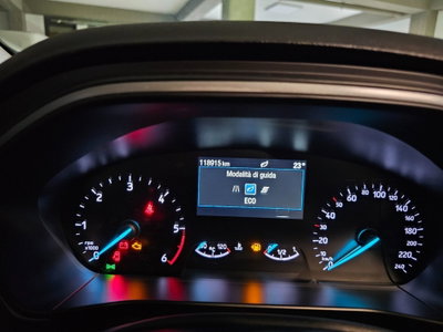 Ford Focus Station Wagon 1.5 EcoBlue 120 CV automatico SW Business (16)