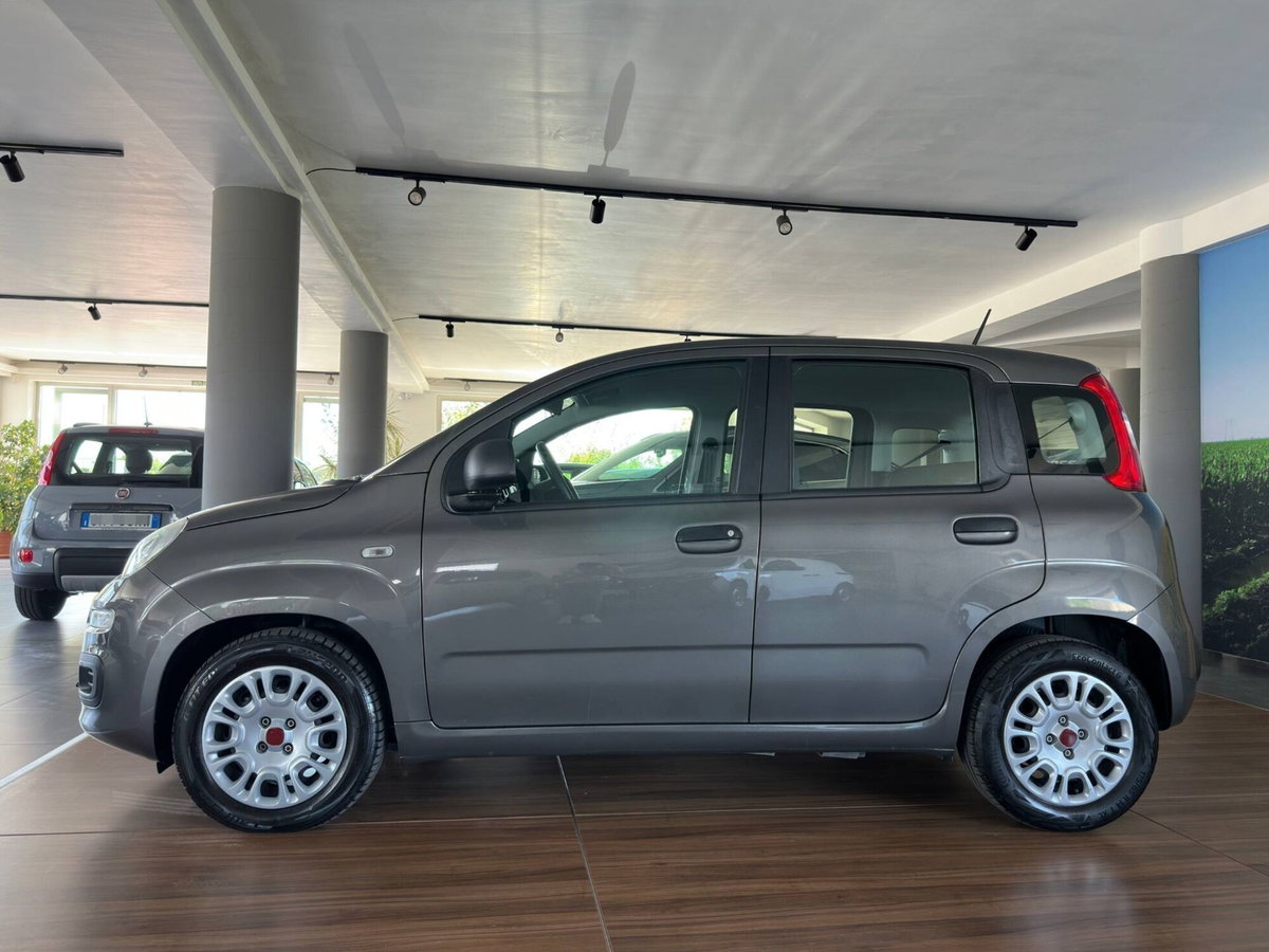 Fiat Panda 1.0 FireFly S&S Hybrid (2)