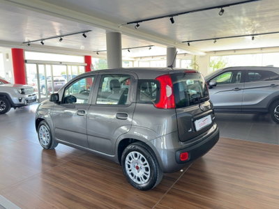 Fiat Panda 1.0 FireFly S&S Hybrid (4)