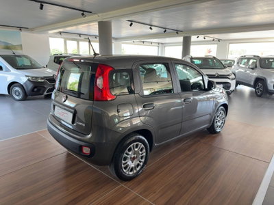 Fiat Panda 1.0 FireFly S&S Hybrid (5)