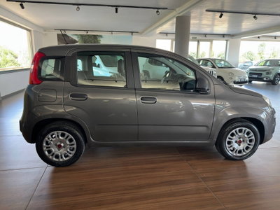 Fiat Panda 1.0 FireFly S&S Hybrid (6)