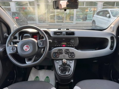 Fiat Panda 1.0 firefly hybrid s&s 70cv 5p.ti (12)