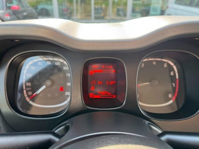 Fiat Panda 1.0 firefly hybrid s&s 70cv 5p.ti (16)