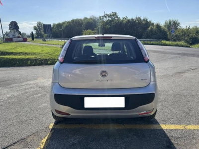 Fiat Punto Evo 1.3 Mjt 95 CV DPF 5 porte S&S Dualogic Dynamic (5)