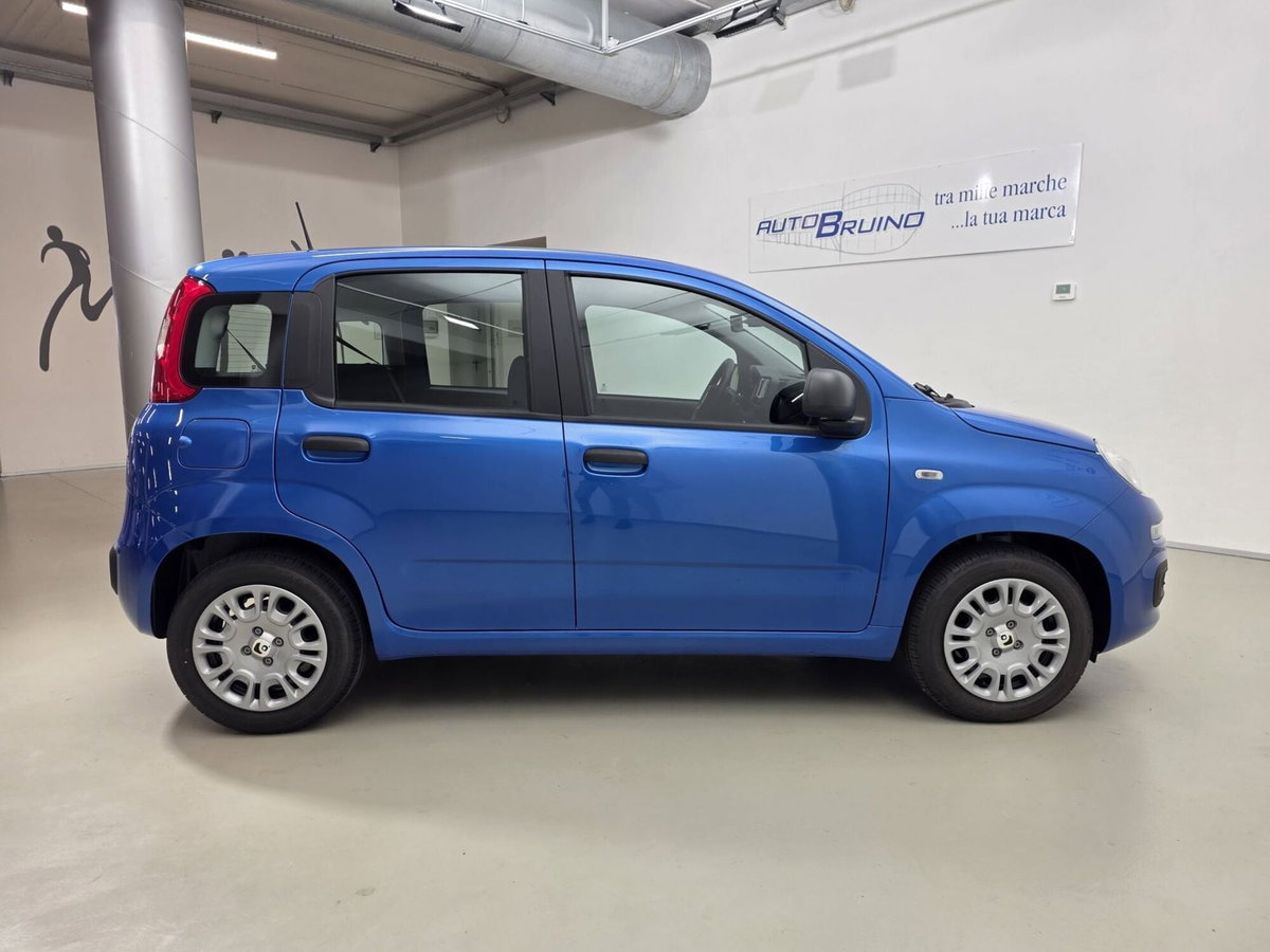 Fiat Panda 1.0 FireFly S&S Hybrid Easy (4)