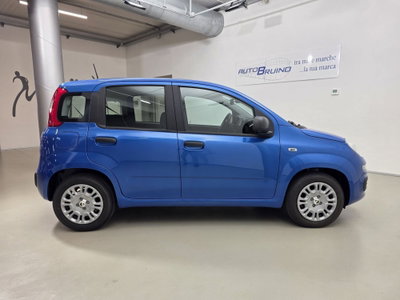 Fiat Panda 1.0 FireFly S&S Hybrid Easy (4)