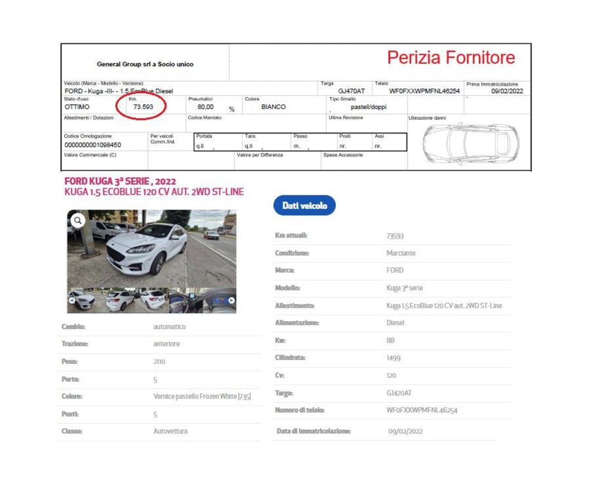 Ford Kuga 1.5 EcoBlue 120 CV 2WD ST-Line (13)