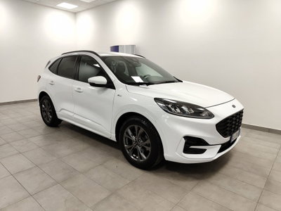 Ford Kuga 1.5 EcoBlue 120 CV 2WD ST-Line (2)