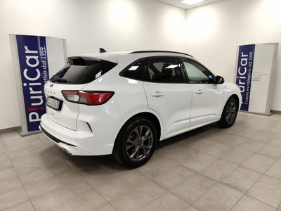 Ford Kuga 1.5 EcoBlue 120 CV 2WD ST-Line (8)