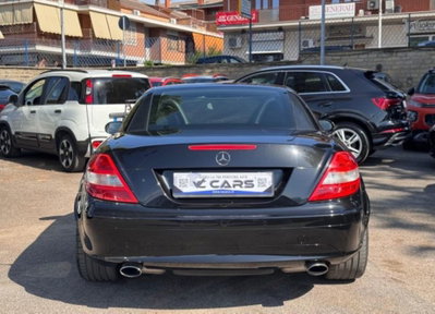 Mercedes-Benz SLK 200 Kompressor cat (5)