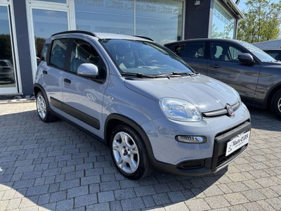 Fiat Panda 1.0 FireFly S&S Hybrid City Cross (3)