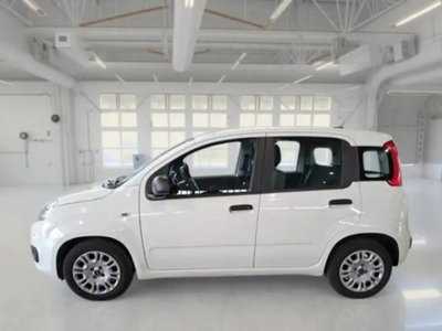 Fiat Panda 1.0 firefly hybrid s&s 70cv 5p.ti (3)