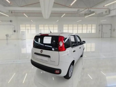 Fiat Panda 1.0 firefly hybrid s&s 70cv 5p.ti (5)