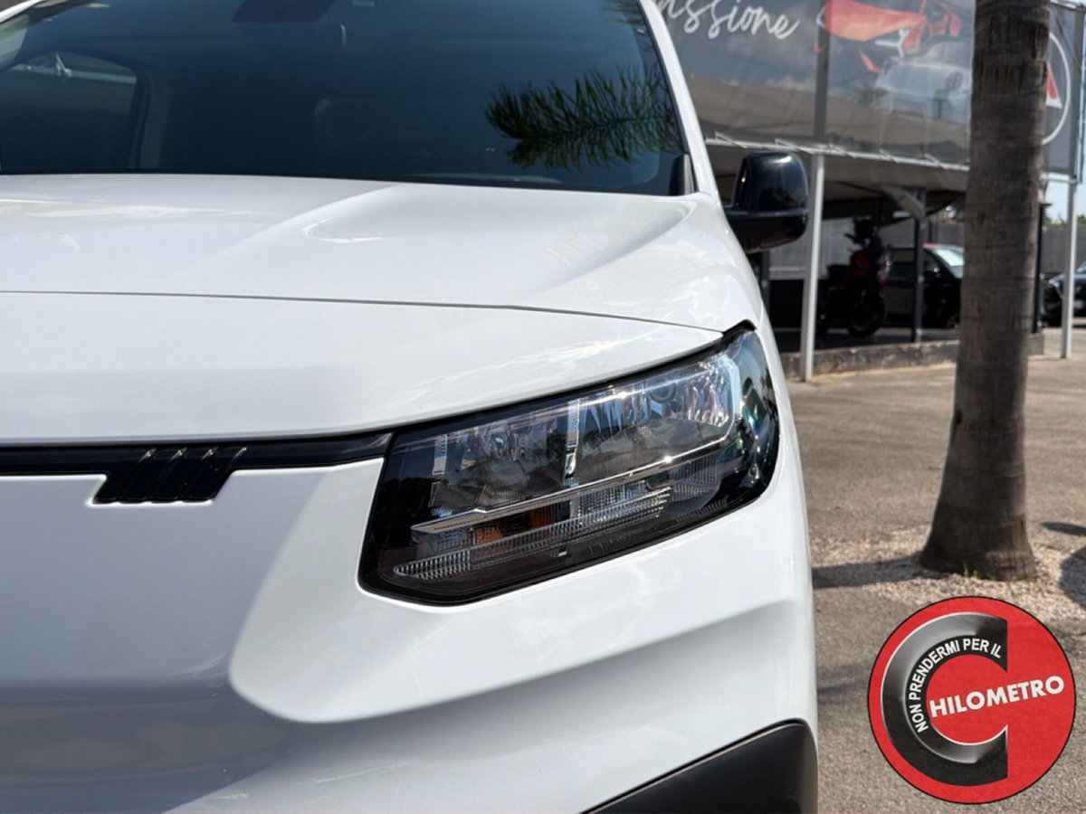 Fiat Doblò 1.5 td Magic Top 130cv auto (10)