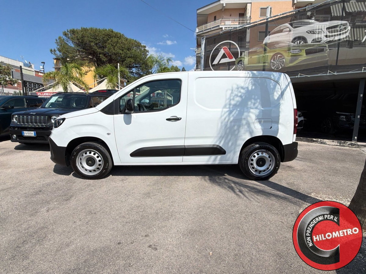Fiat Doblò 1.5 td Magic Top 130cv auto (3)