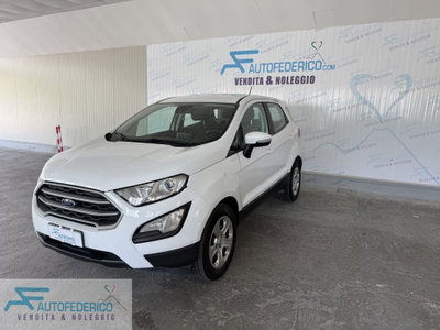 Ford EcoSport 1.0 EcoBoost 100 CV usata