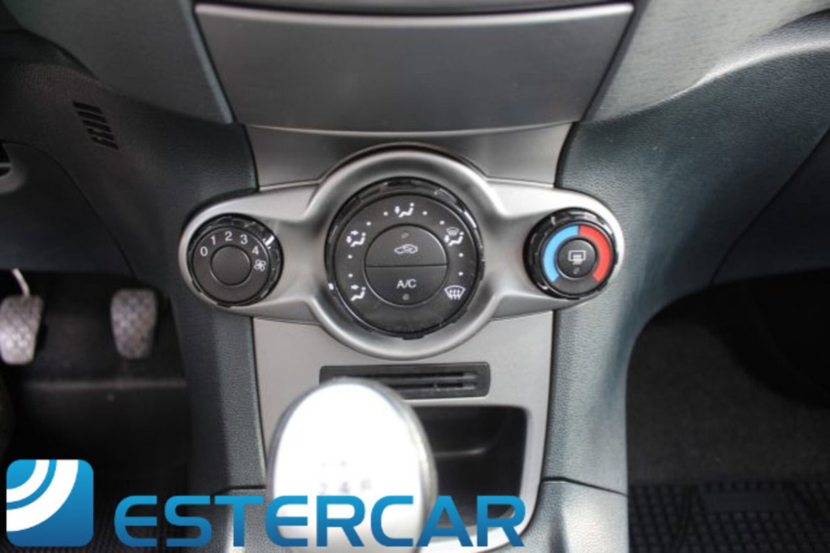 Ford Fiesta 1.4 5 porte Bz.- GPL Titanium (14)