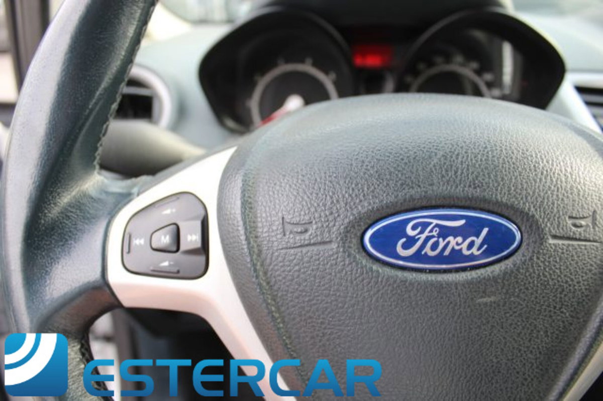 Ford Fiesta 1.4 5 porte Bz.- GPL Titanium (19)