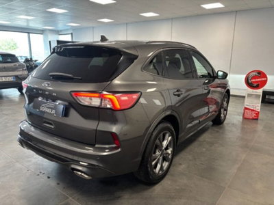 Ford Kuga 1.5 EcoBoost 150 CV 2WD ST-Line (4)