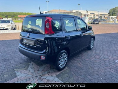 Fiat Panda 1.0 firefly hybrid s&s 70cv 5p.ti (4)