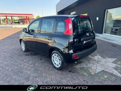 Fiat Panda 1.0 firefly hybrid s&s 70cv 5p.ti (5)