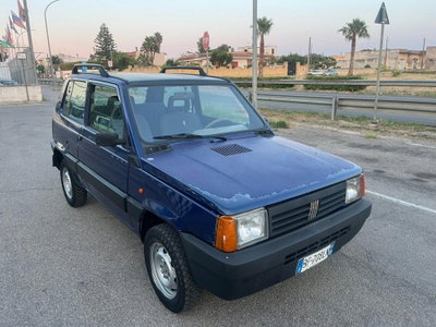 Fiat Panda 1100 i.e. cat 4x4 Trekking (3)