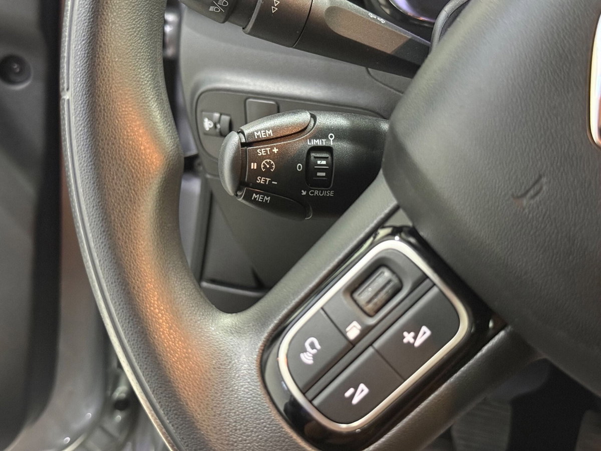 Citroen C3 BlueHDi 100 S&S Shine (18)