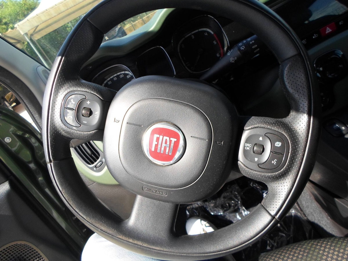 Fiat Panda 1.3 MJT S&S 4x4 (18)