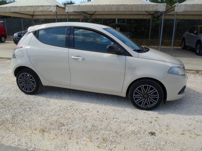 Lancia Ypsilon 1.2 69 CV 5 porte Platinum (3)