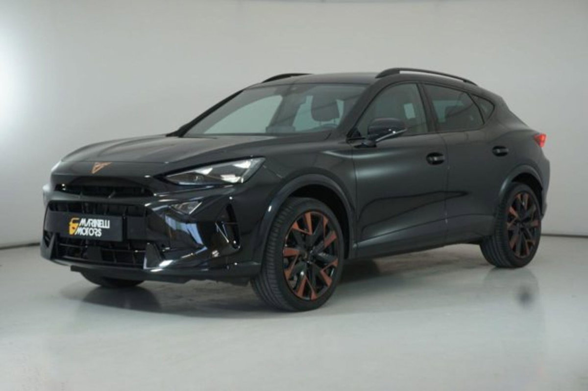 Cupra Formentor Formentor 1.5 TSI (16)
