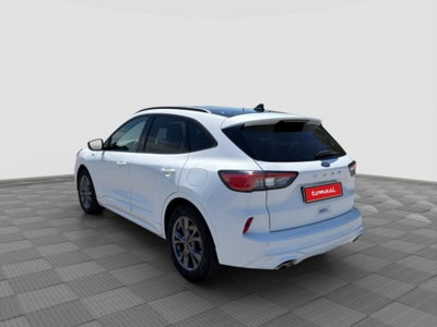 Ford Kuga 1.5 EcoBlue 120 CV 2WD ST-Line (3)